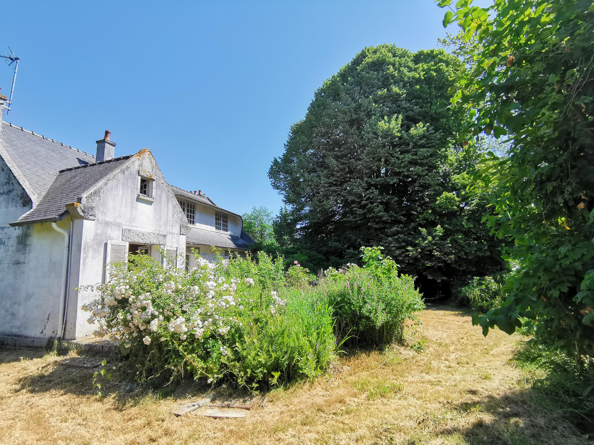 vente Maison SAINT GREGOIRE Agir Immobilier