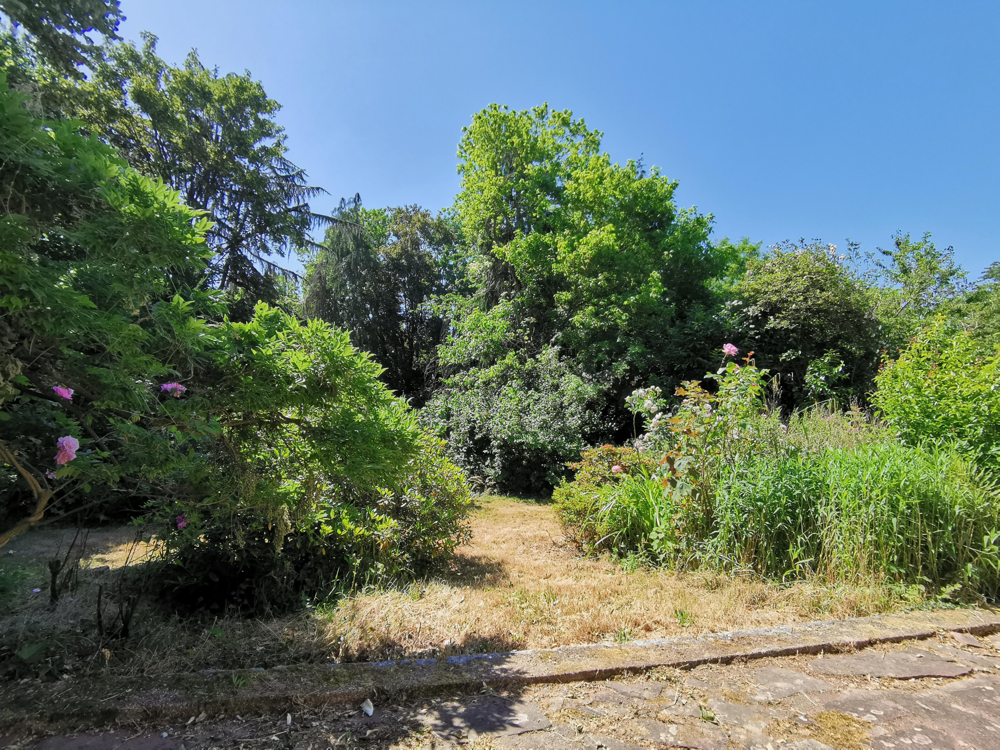 vente Maison SAINT GREGOIRE Agir Immobilier